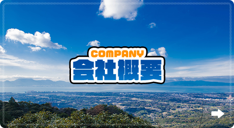 bnrhalf_company_off